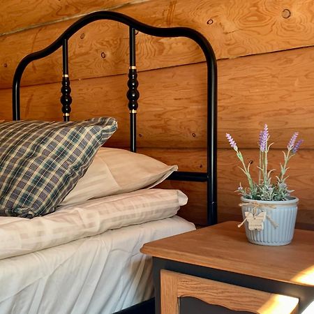 Kasepuu Holiday House Уулу Экстерьер фото
